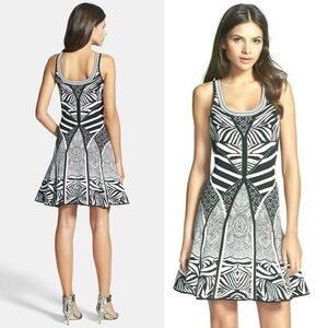 Diane von Furstenberg Fanny Zebra Dress